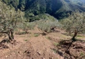 Земля на продажу у города Monda Фото