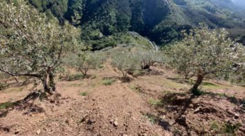 Málaga - Monda - 36230m2