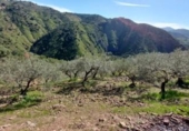 Земля на продажу у города Monda Фото