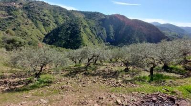 Málaga - Monda - 36230m2