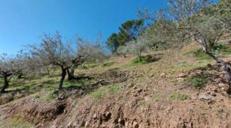 Málaga - Monda - 36230m2