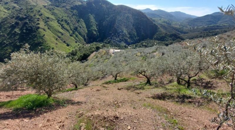 Málaga - Monda - 36230m2