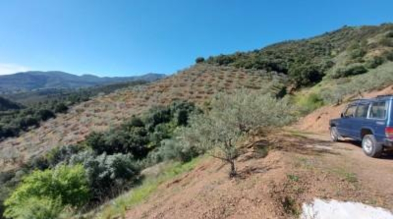 Málaga - Monda - 36230m2