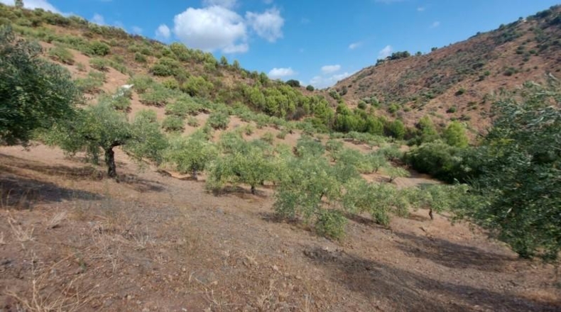 Málaga - Monda - 36230m2