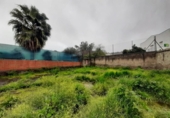 Casa de poble en venda a la España, Aliseda, ref.: TR242056 foto
