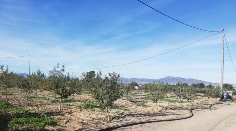 Murcia - Lorca - 10000m2