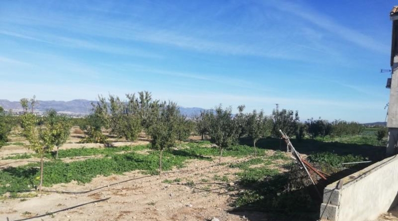 Murcia - Lorca - 10000m2