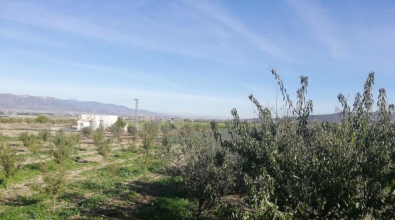 Murcia - Lorca - 10000m2