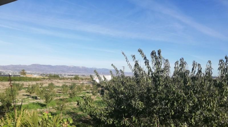 Murcia - Lorca - 10000m2
