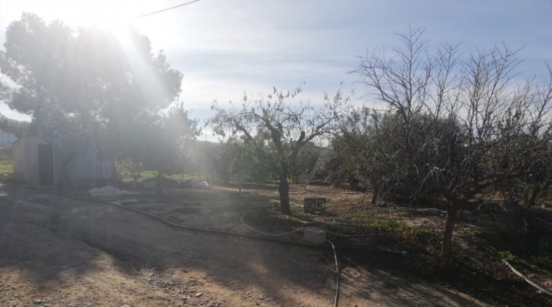 Murcia - Lorca - 10000m2