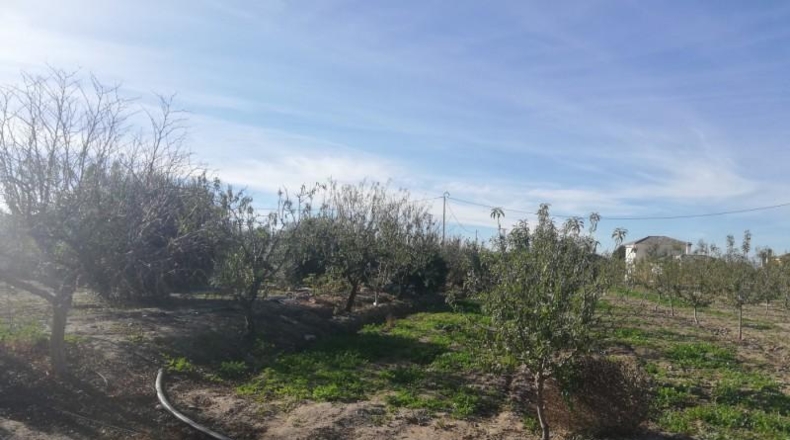 Murcia - Lorca - 10000m2