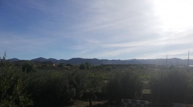 Murcia - Lorca - 10000m2