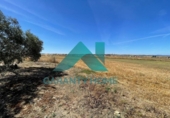 Загородный дом с участком на продажу в городе Torreorgaz Фото