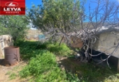 Detached villa with land for sale on España, Cartagena, ref: TR238805 photo
