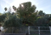Sòl urbà en venda a la España, Alhaurín el Grande, ref.: TR116035 foto
