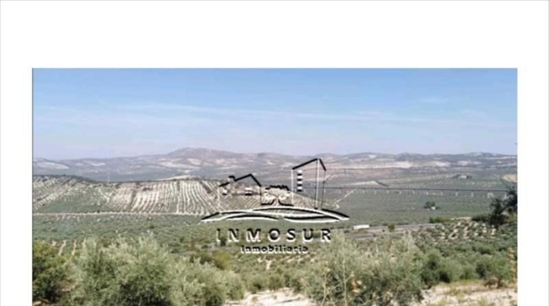 Málaga - Archidona - 53000m2