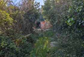 Foto 10