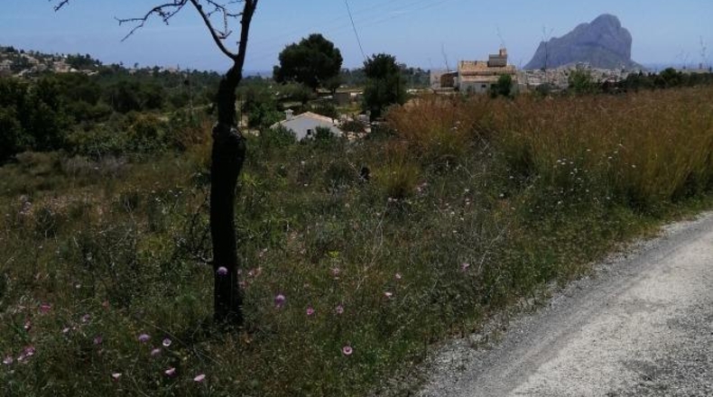 Alicante - Calpe - 11000m2