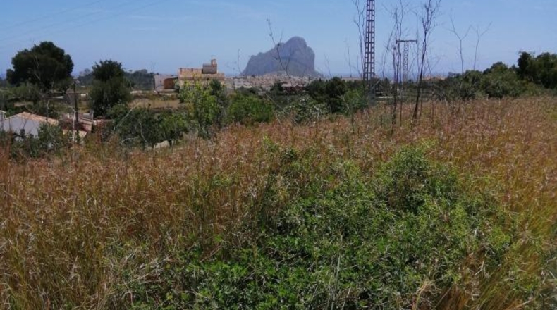 Alicante - Calpe - 11000m2