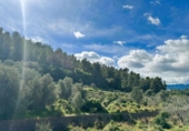 Detached villa with land for sale on España, Potries, ref: TR239708 photo