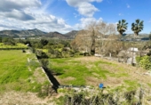 Detached villa with land for sale on España, Potries, ref: TR239708 photo