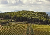 Дом с участком на продажу в городе Castellet Фото