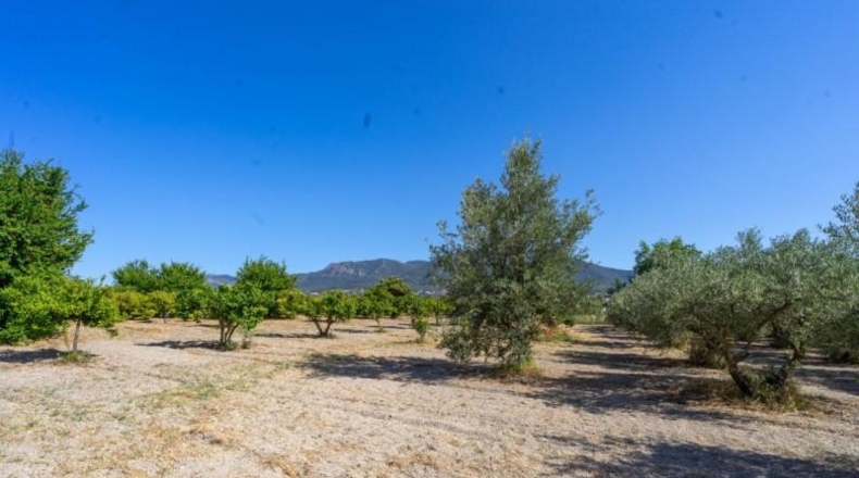 Málaga - Alhaurín el Grande - 18000m2