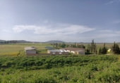 Xalet independent amb terreny en venda a la España, Mollina, ref.: TR140481 foto