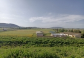 Xalet independent amb terreny en venda a la España, Mollina, ref.: TR140481 foto