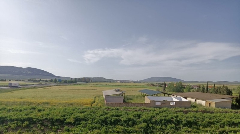 Málaga - Mollina - 16000m2