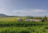 Xalet independent amb terreny en venda a la España, Mollina, ref.: TR140481 foto