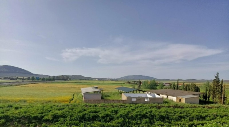 Málaga - Mollina - 16000m2