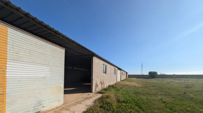 Castellón - Vinaroz - 5684m2