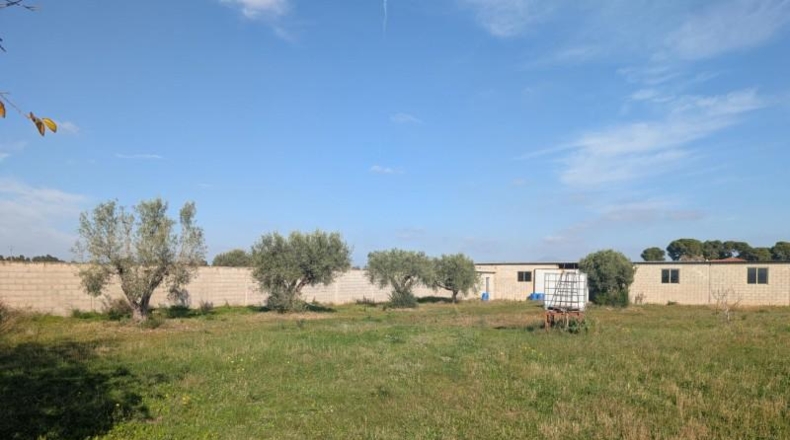 Castellón - Vinaroz - 5684m2