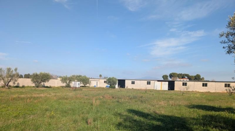 Castellón - Vinaroz - 5684m2