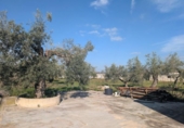 Terreno no urbanizable en venta en la España, Vinaròs, ref: TR366096 foto