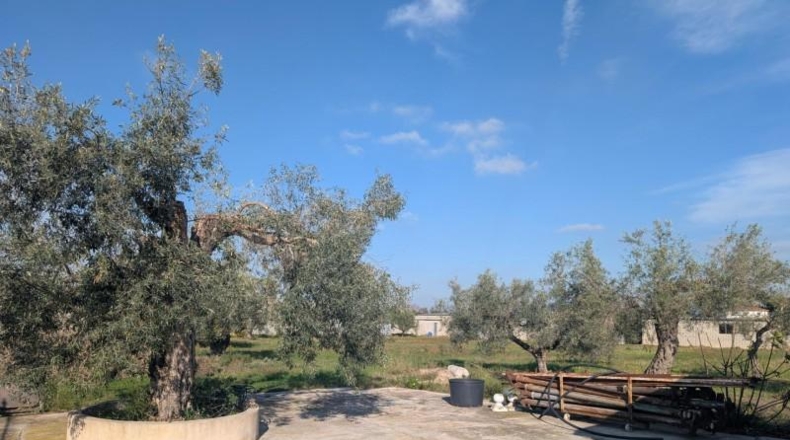 Castellón - Vinaroz - 5684m2