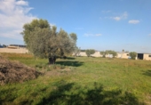Terreno no urbanizable en venta en la España, Vinaròs, ref: TR366096 foto