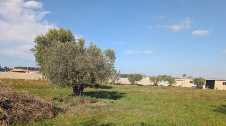 Castellón - Vinaroz - 5684m2