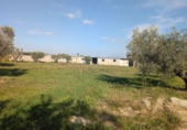 Terreno no urbanizable en venta en la España, Vinaròs, ref: TR366096 foto