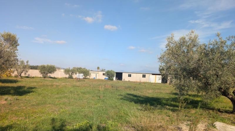 Castellón - Vinaroz - 5684m2