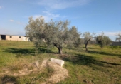 Terreno no urbanizable en venta en la España, Vinaròs, ref: TR366096 foto