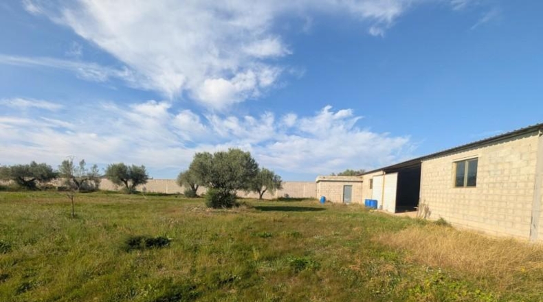 Castellón - Vinaroz - 5684m2