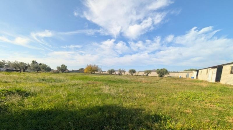 Castellón - Vinaroz - 5684m2
