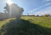 Terreno no urbanizable en venta en la España, Vinaròs, ref: TR366096 foto