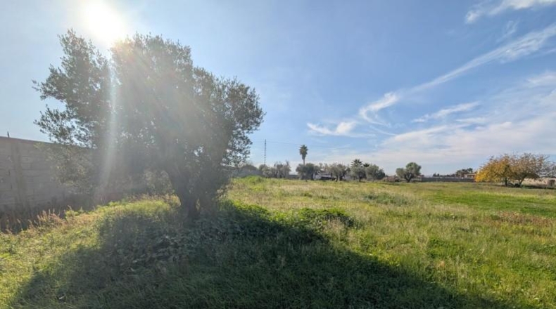 Castellón - Vinaroz - 5684m2