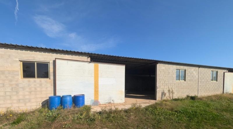 Castellón - Vinaroz - 5684m2