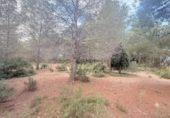 Sòl urbà en venda a la España, Albalat dels Tarongers, ref.: TR361652 foto
