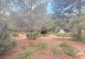 Sòl urbà en venda a la España, Albalat dels Tarongers, ref.: TR361652 foto