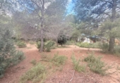 Sòl urbà en venda a la España, Albalat dels Tarongers, ref.: TR361652 foto